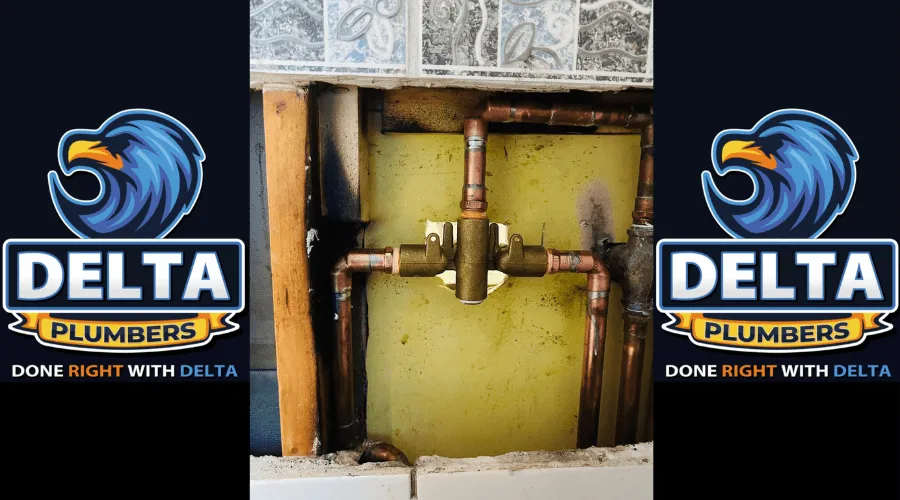 Using Bleach for Smelly Drains - Delta Plumbers