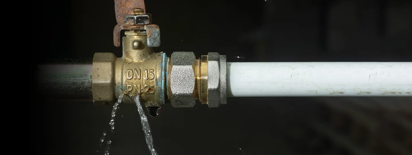 Check-for-Existing-Leaks-and-Weak-Points