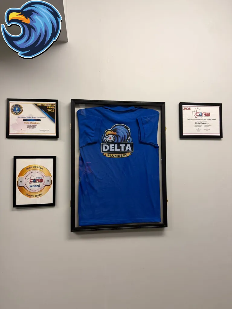 Best Plumber Awards - Delta Plumbers of Milton
