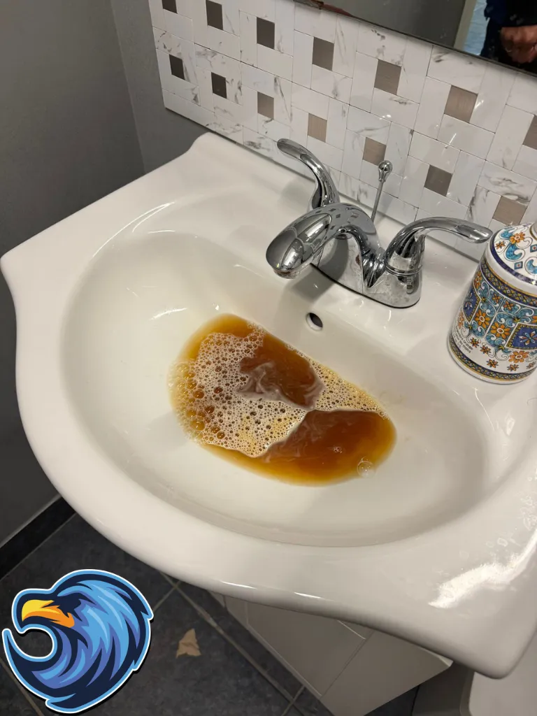 Clogged Bathroom Sink - Delta Plumbers Milton
