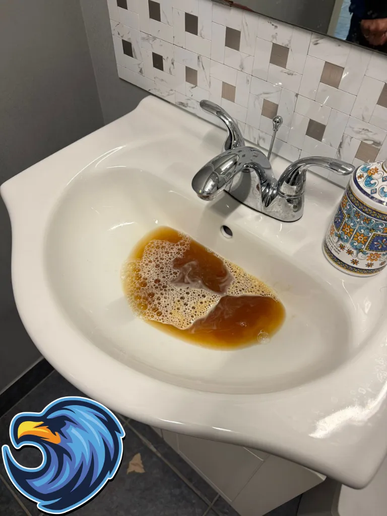Clogged Toilet Sink Repair in Cambridge - Delta Plumbers