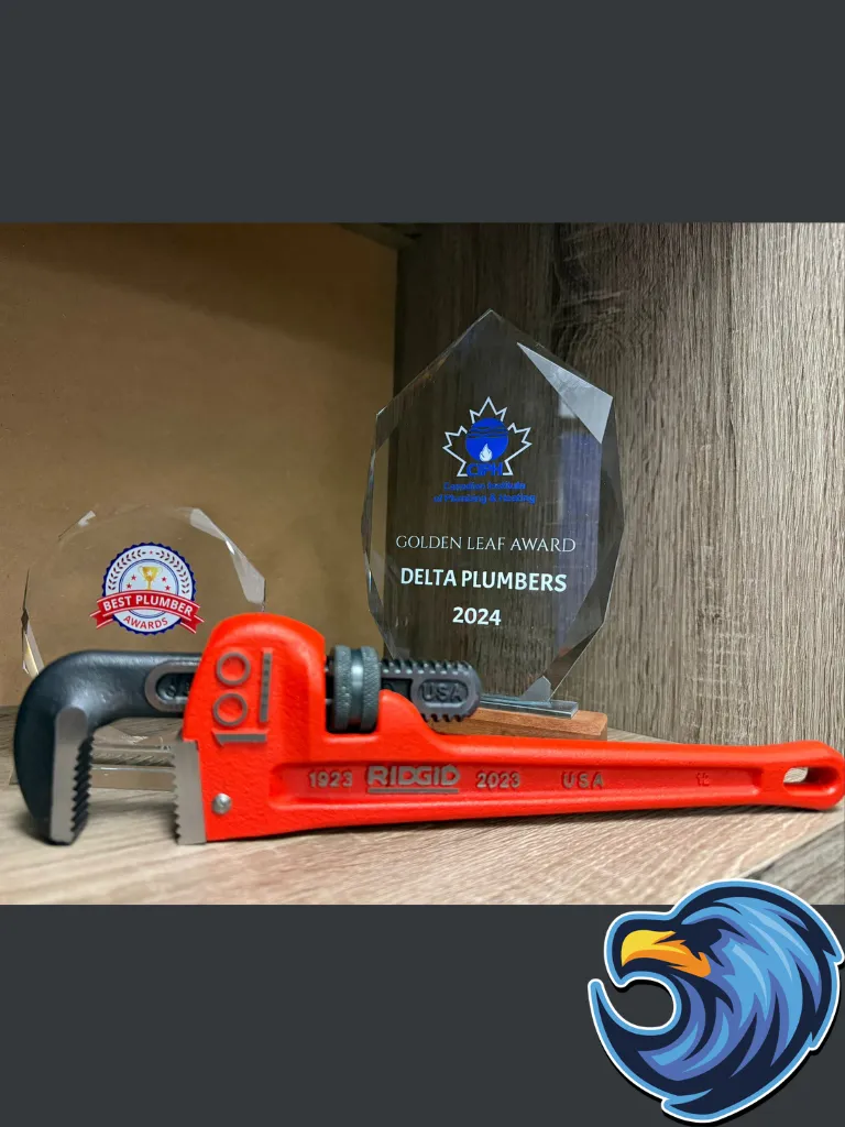 Golden Leaf Plumbing Award for Best Plumber in Welland